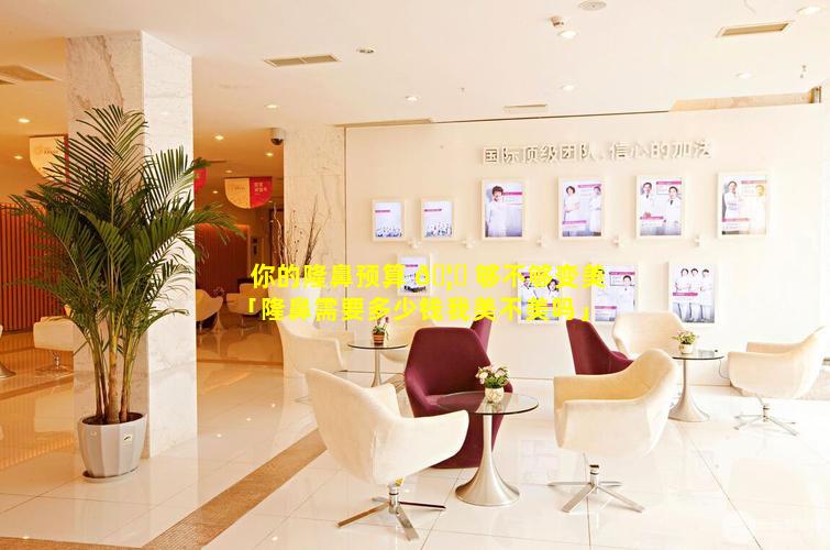 你的隆鼻预算 🦄 够不够变美「隆鼻需要多少钱我美不美吗」